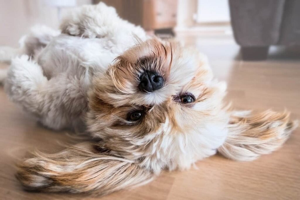 Floor heating: Do I still need other forms of heating in the house?