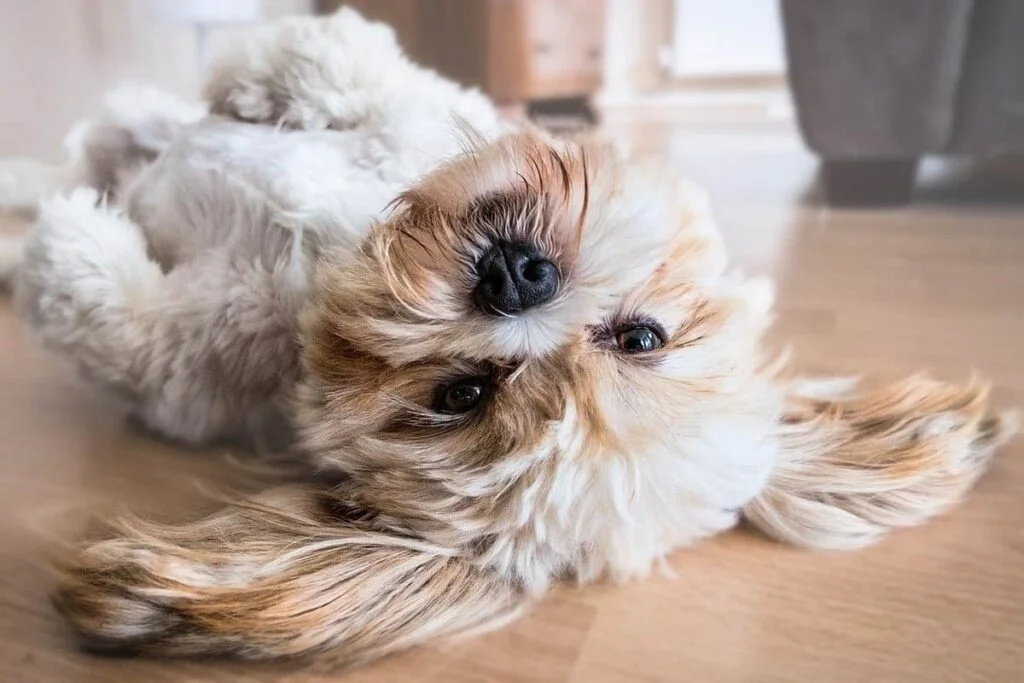 Floor heating: Do I still need other forms of heating in the house?